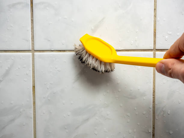 Mold Testing and Removal in Princeton, MN
