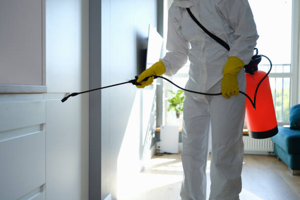 Best Commercial Mold Removal  in Princeton, MN