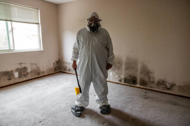 Best Attic Mold Removal  in Princeton, MN